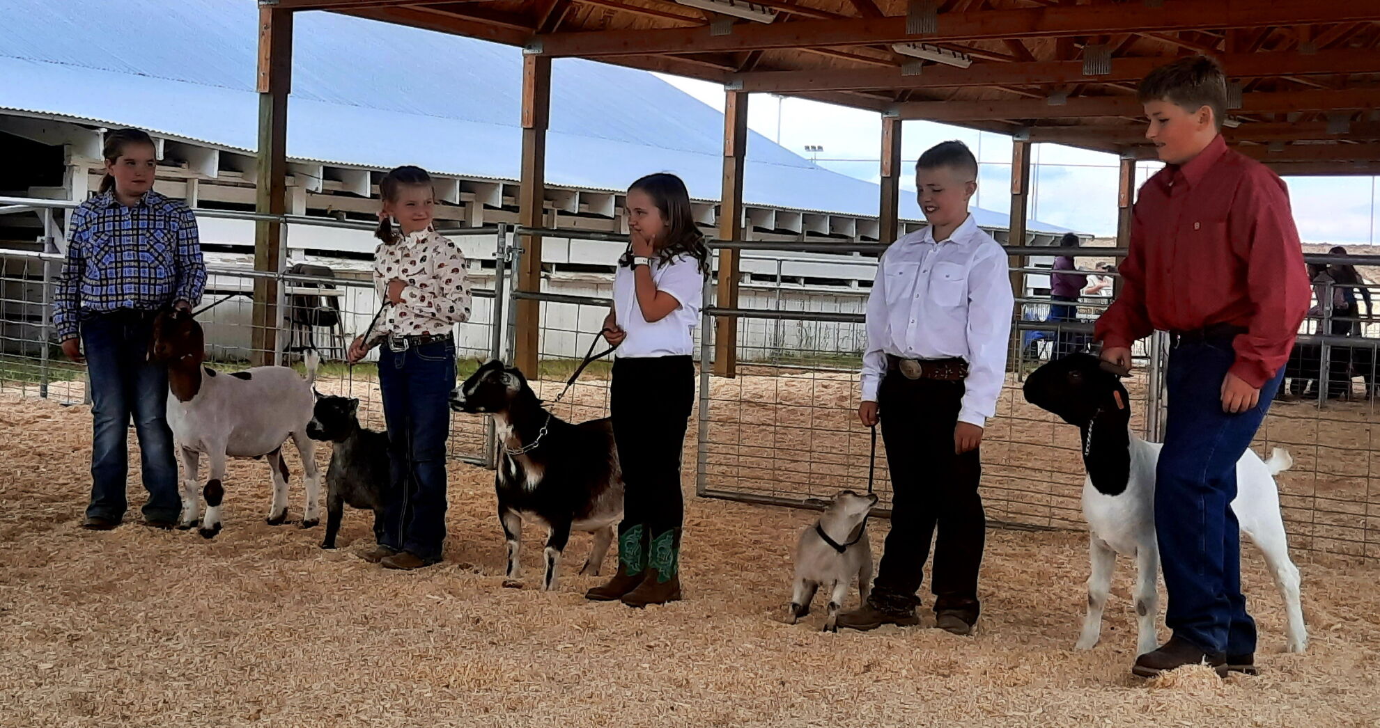 4H youth line up